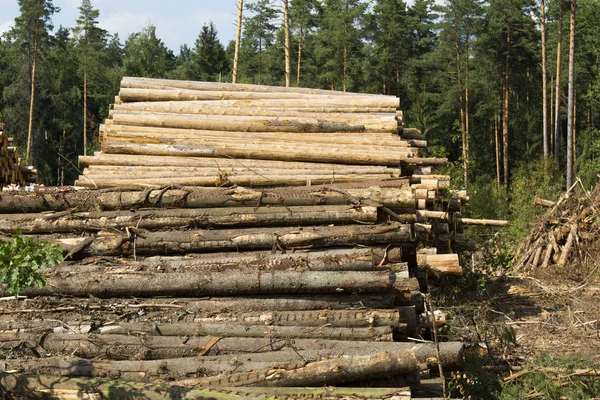 Ormanların tahrip edilmesi