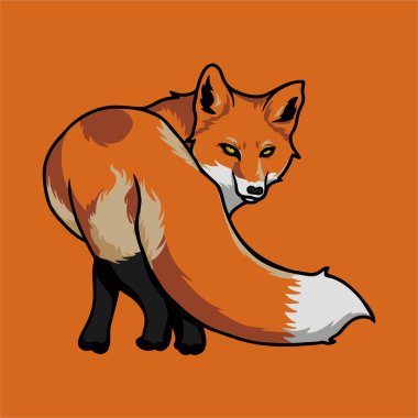 hayvan tilki vektör illüstrasyonu