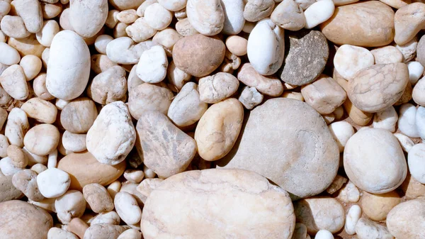 Белый Камешек Пляже Белый Камень Заднем Плане — стоковое фото