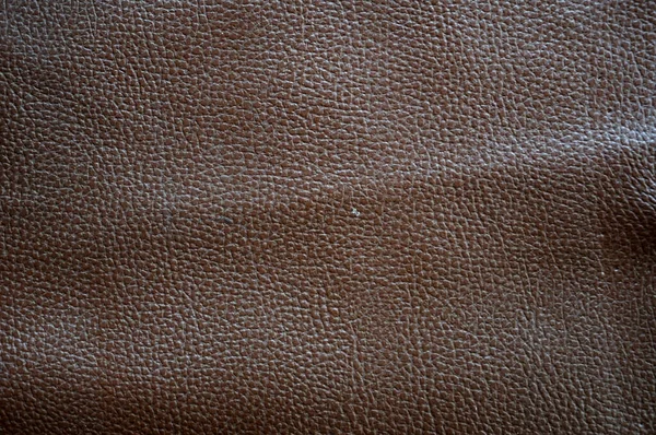 Texture Leather Skin — Stock Photo, Image