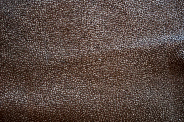 Texture Peau Cuir — Photo