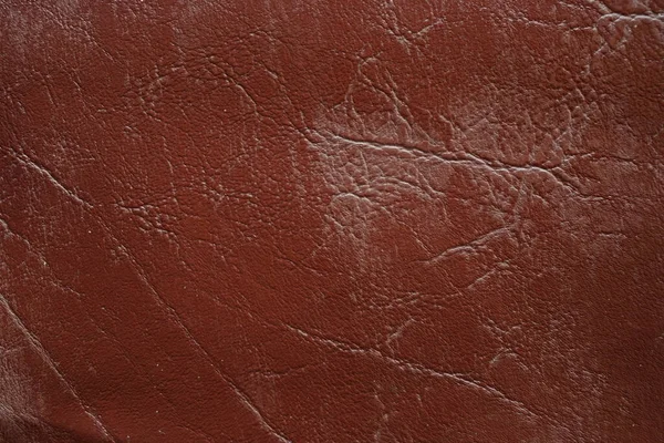 Texture Leather Skin — Stock Photo, Image