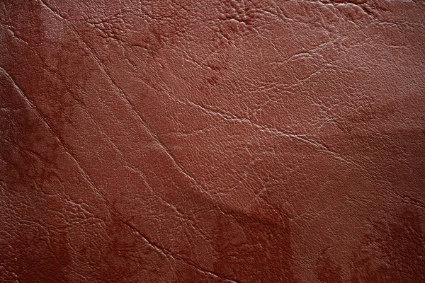 Texture Leather Skin — Stock Photo, Image