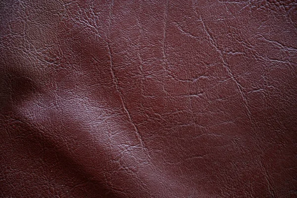 Texture Peau Cuir — Photo