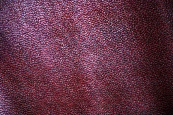Textur Läder Hud — Stockfoto