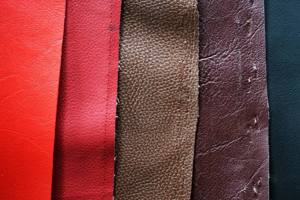 Texture Leather Skin — Stock Photo, Image