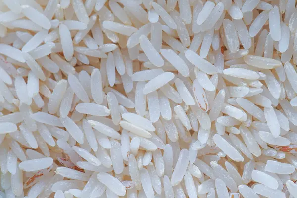 Riz Biologique Riz Grains Blancs — Photo