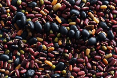 Birçok çeşit fasulye, hayvan yemi için fındık.