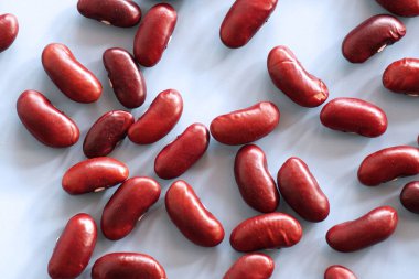 Kırmızı böbrek fasulyesi soyutlanmış, hayvan yemi için fasulye.