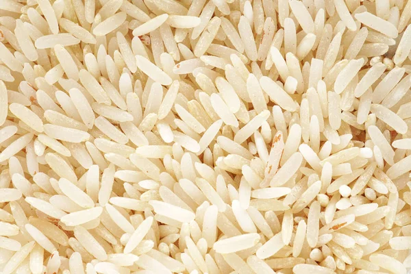 Riz Biologique Riz Grains Blancs — Photo