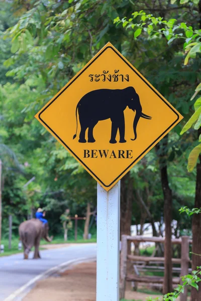 Остерегайтесь знака "Дорога слонов" . Стоковая Картинка