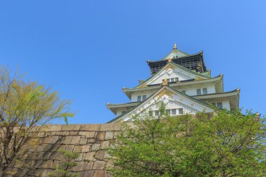Himeji Kalesi, Japonya