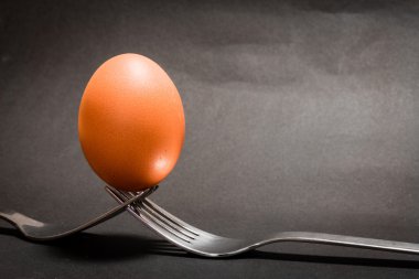 çatal üzerinde yumurta