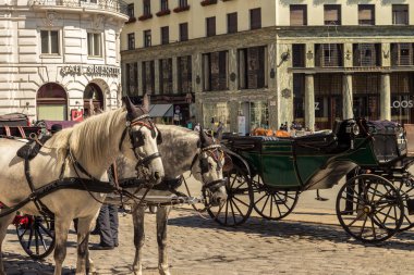 Michaelerplatz, Viyana 'da Fiaker