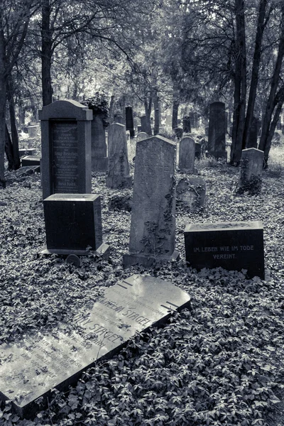 Verzauberter Friedhof — Stockfoto