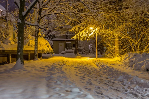 Torze zimą w nocy — Zdjęcie stockowe