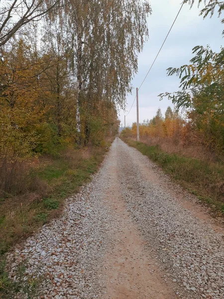 Осенний Пейзаж Деревья Поле Дорога Мрачное Небо Сухая Трава Фон — стоковое фото