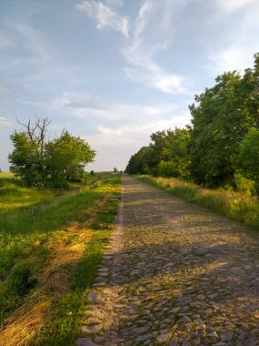 Yeşil ağaçlar ve güneş ışığı olan kaldırım taşı yolu. Yol kenarı bitkilerle kaplı. Gökyüzü açık. İleriye giden yol. Arka plan, ekranlar için ekran koruyucu. Yaz sezonu. Taş yol. Parlak güneş ışığı.