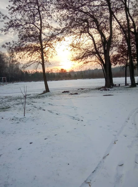 Árboles Tierra Nieve Día Soleado Paisaje Invernal Tiempo Año Nuevo — Foto de Stock