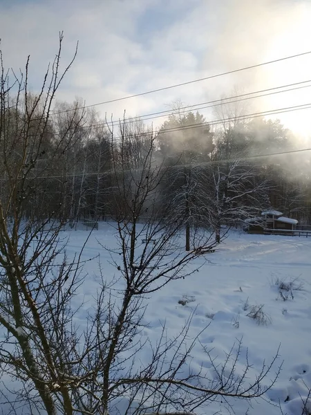 Bomen Land Gebouwen Sneeuw Zonnige Dag Winterlandschap Nieuwjaar Tijd Ligt — Stockfoto