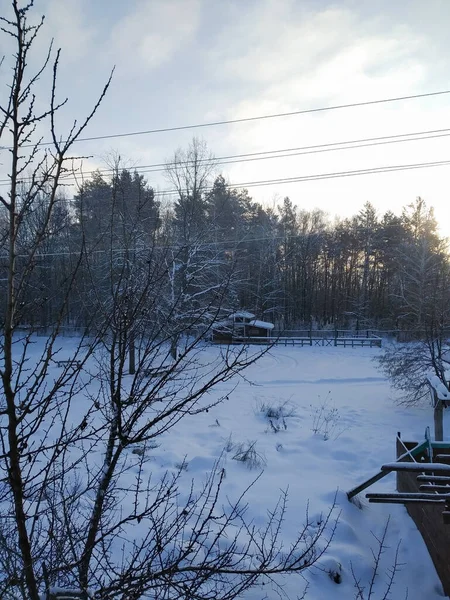 Дерева Землі Будівлі Снігу Сонячний День Зимовий Пейзаж Новорічний Час — стокове фото