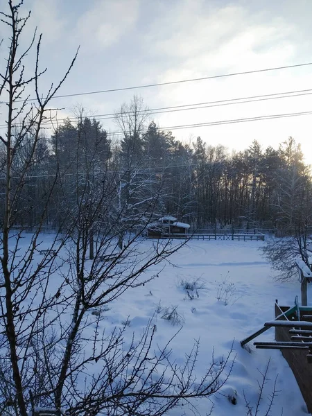 Arbres Terrains Bâtiments Dans Neige Journée Ensoleillée Paysage Hivernal Est — Photo