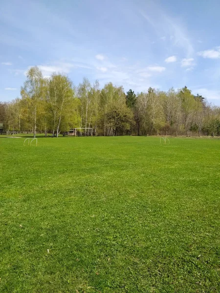 Sonnig Warmer Frühlingstag Grüne Wiese Fußballplatz Schöne Landschaft Hintergrund Für — Stockfoto