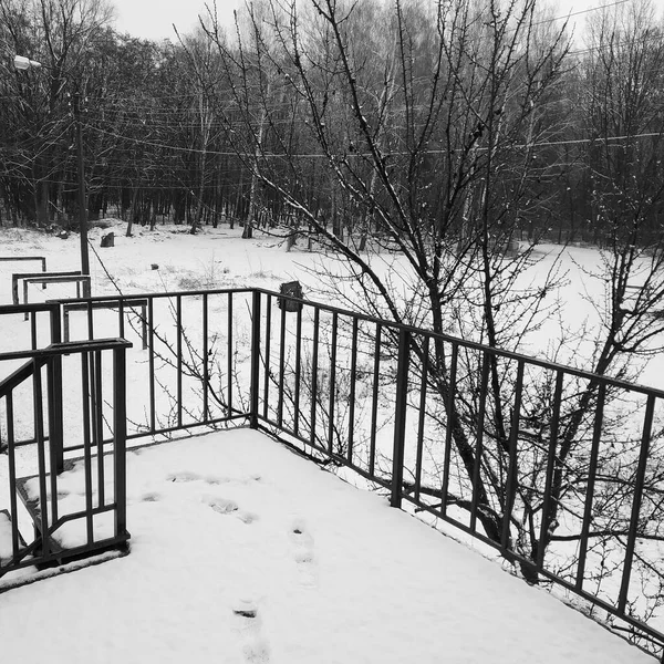 Bomen Grond Sneeuw Winterlandschap Nieuwjaar Tijd Ligt Veel Sneeuw Buiten — Stockfoto
