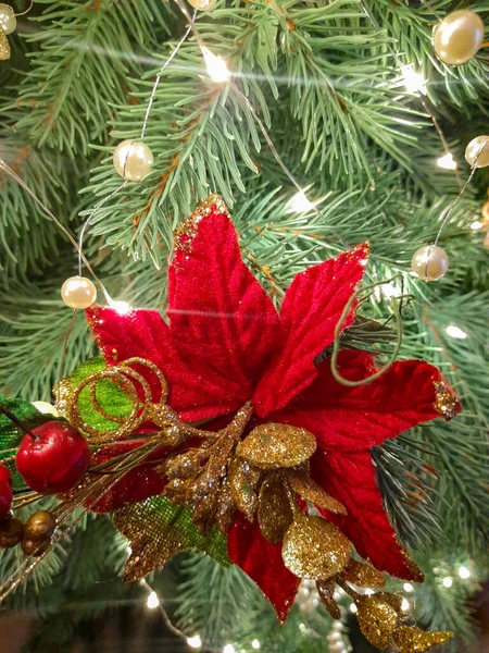 Díszítés Karácsonyfán Piros Poinsettia Virág Karácsonyi Fenyőfa Koszorúhagymával Otthoni Boldog — Stock Fotó