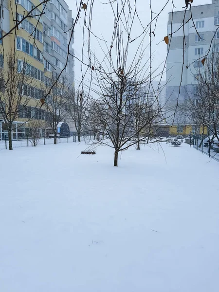 Een Wandelpad Winterlandschap Met Huizen Park Bomen Alles Ligt Sneeuw — Stockfoto