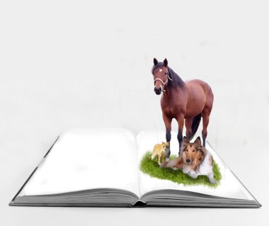 Evcil hayvan ile açık kitap