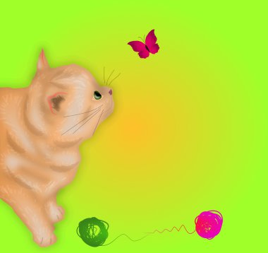 Kelebek ile yavru kedi