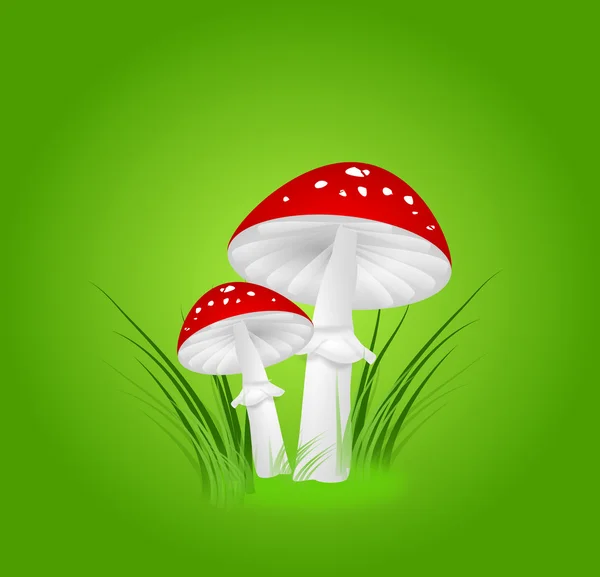 Toadstools on green — Stock Photo, Image