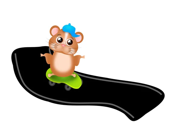 Hamster on skateboard — Stock Photo, Image