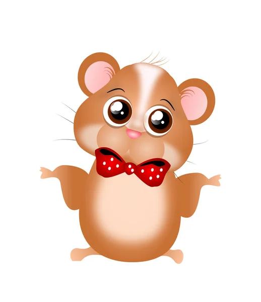 Schattige hamster geïsoleerd — Stockfoto