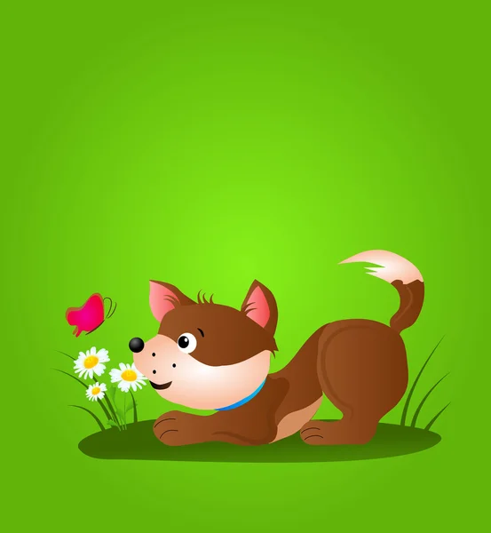 Kahverengi mutlu köpek — Stok fotoğraf