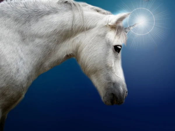 Unicorno bianco realistico — Foto Stock