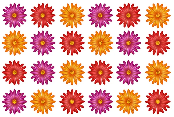 Flowers colorful pattern — Stock Photo, Image