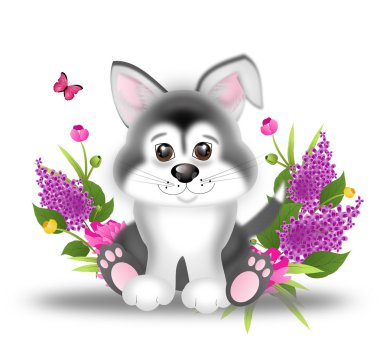 Çiçek ile şirin Sibirya husky köpek yavrusu