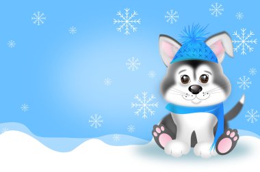 Kışın Sibirya husky yavrusu