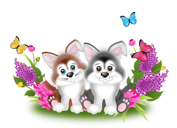 Dvě štěňata s květinami — Stock fotografie