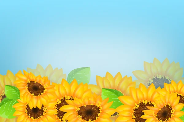 Sonnenblumen Hintergrund Illustration — Stockfoto