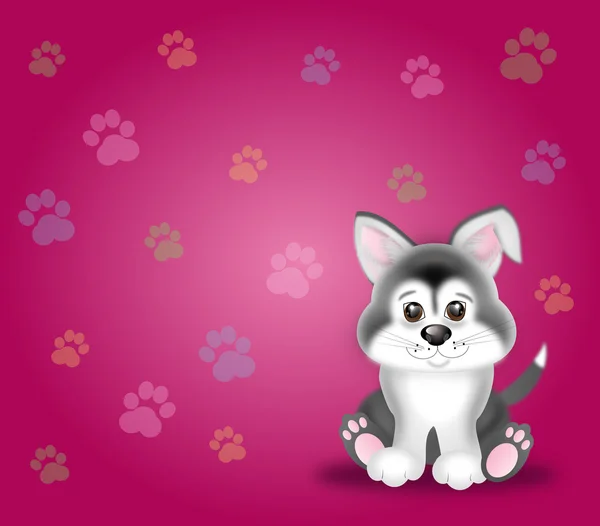 Cute puppy on pink background — Stock Photo, Image