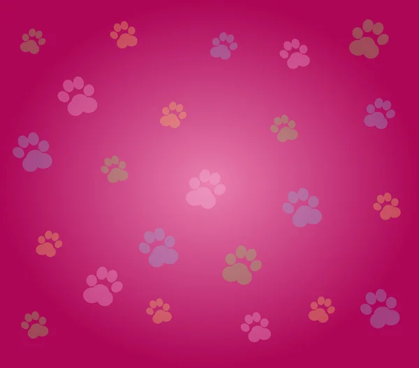 Dog paws background — Stock Photo, Image