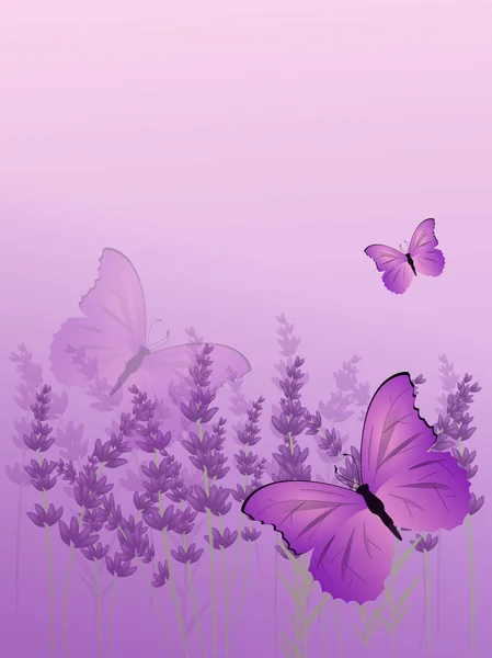Fondo lavanda con farfalla — Foto Stock