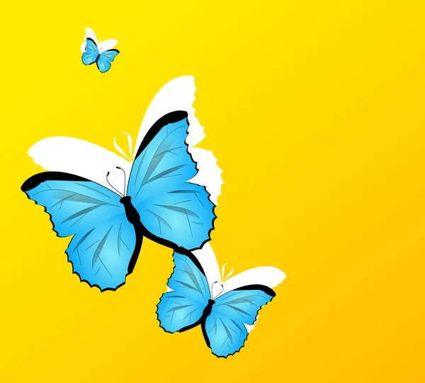 Summer butterflies graphic — Stock Photo, Image