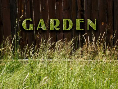 Çim ve ağaç bahçe metin