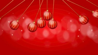 Noel ampuller ağacı