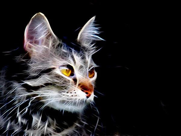 闪烁的灯的猫例证 — 图库照片