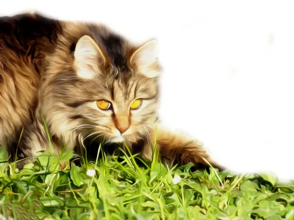 Cat on grass painting — Stock Photo, Image
